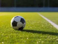 外籍友人为,龙舟文化所,吸引,足彩,体彩,彩票,体育彩票,足球彩票,彩票合买,双赢彩票