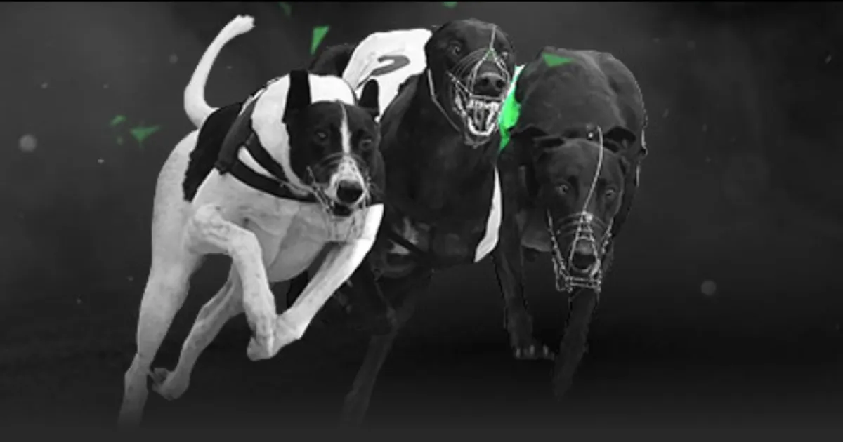 激情对决,实力悬殊的,阿维斯萨德,足彩,体彩,彩票,体育彩票,足球彩票,彩票合买,双赢彩票